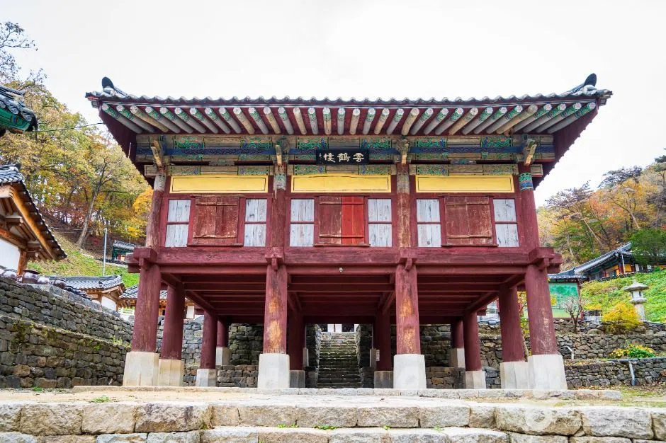 충남 장곡사(청양) 방문 동선을 참고할 수 있는 트립뷰 편집 이미지