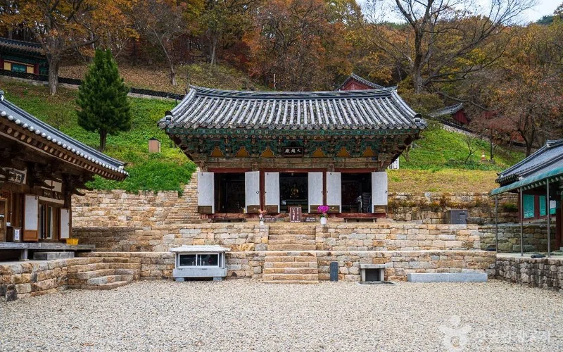 충남 장곡사(청양) 방문 동선을 참고할 수 있는 트립뷰 편집 이미지