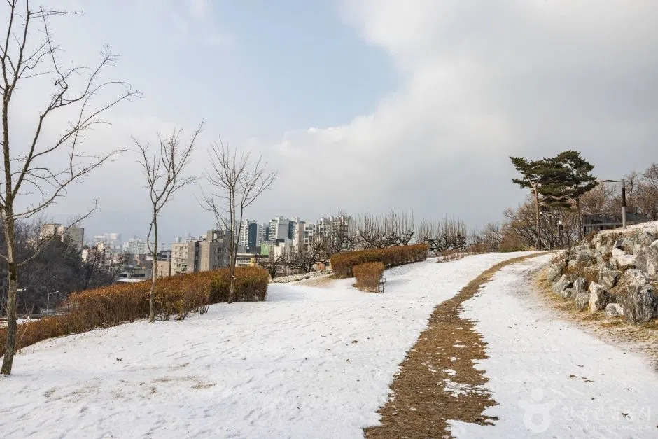 강원 남이섬 단풍 명소 방문 동선을 참고할 수 있는 트립뷰 편집 이미지