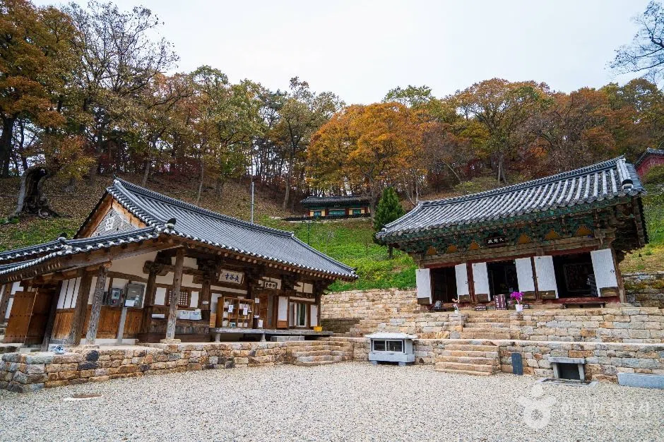 충남 충청 단풍 명소 방문 동선을 참고할 수 있는 트립뷰 편집 이미지