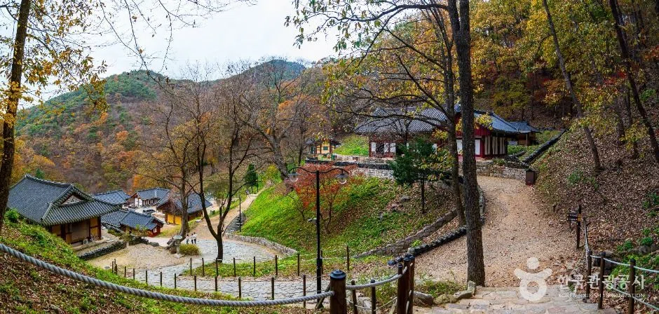 충남 충청 단풍 명소 방문 동선을 참고할 수 있는 트립뷰 편집 이미지