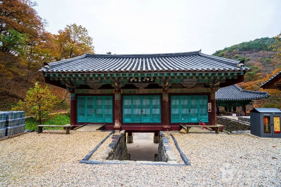 충남 충청 단풍 명소 방문 동선을 참고할 수 있는 트립뷰 편집 이미지