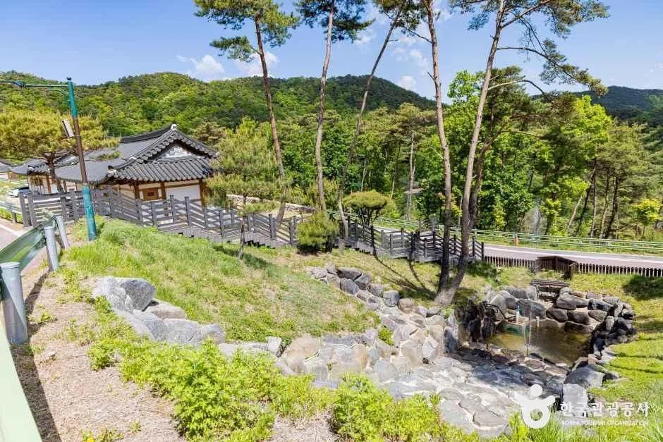 충남 충청 단풍 명소 방문 동선을 참고할 수 있는 트립뷰 편집 이미지