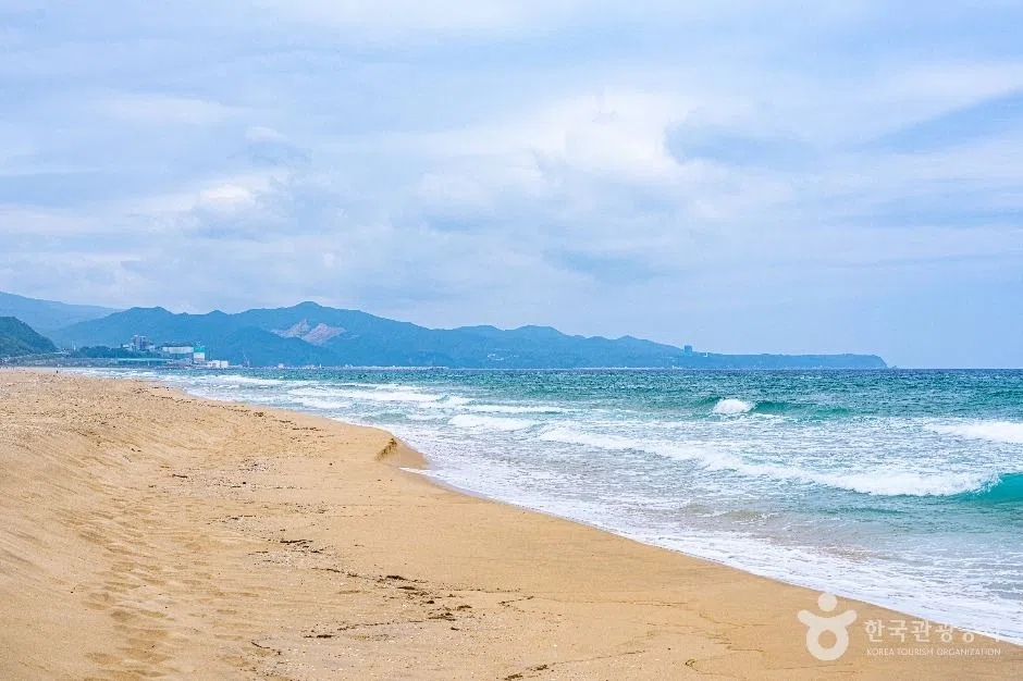 강원 망상해변 방문 동선을 참고할 수 있는 트립뷰 편집 이미지