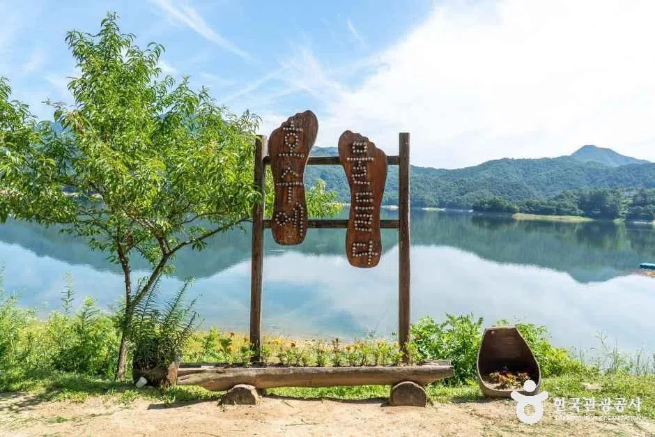 강원 강원 단풍 명소 방문 동선을 참고할 수 있는 트립뷰 편집 이미지