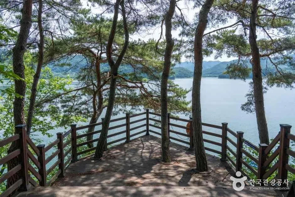 강원 강원 단풍 명소 방문 동선을 참고할 수 있는 트립뷰 편집 이미지