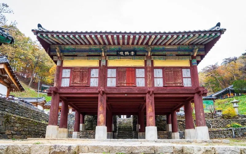 강원 전국 단풍 명소 방문 동선을 참고할 수 있는 트립뷰 편집 이미지