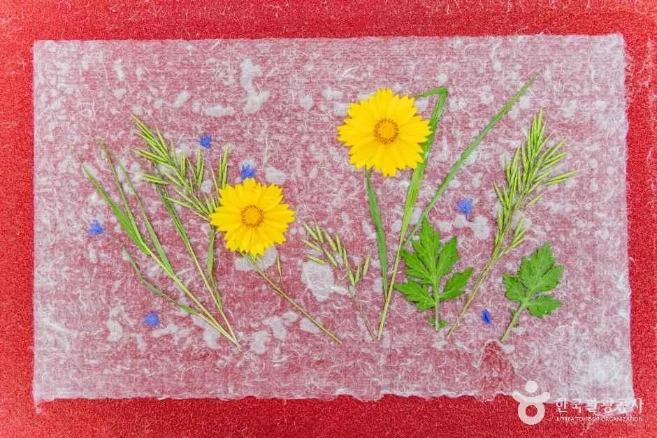 충북 괴산 한지체험박물관 방문 동선을 참고할 수 있는 트립뷰 편집 이미지