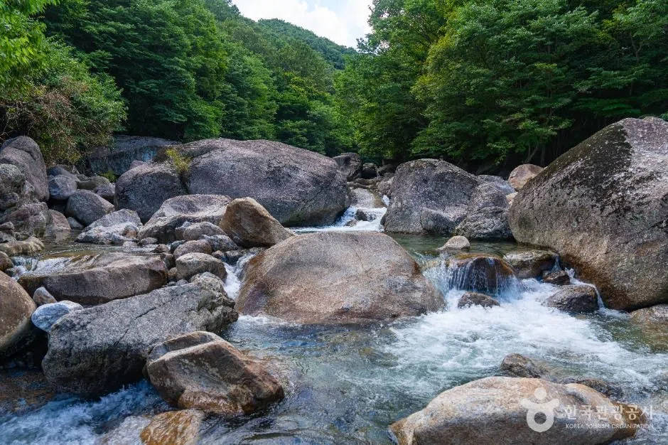 전남 피아골계곡 방문 동선을 참고할 수 있는 트립뷰 편집 이미지