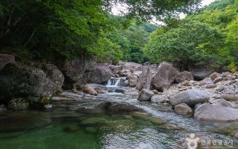 전남 피아골계곡 방문 동선을 참고할 수 있는 트립뷰 편집 이미지