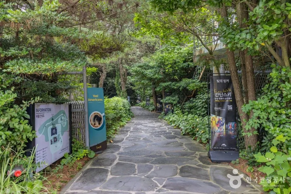 제주 빛의 벙커 방문 동선을 참고할 수 있는 트립뷰 편집 이미지