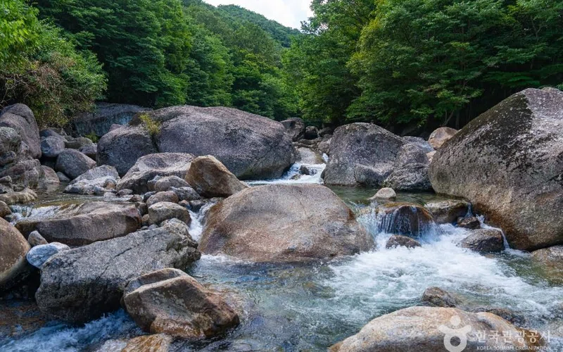 전북 내장산 단풍 명소 방문 동선을 참고할 수 있는 트립뷰 편집 이미지