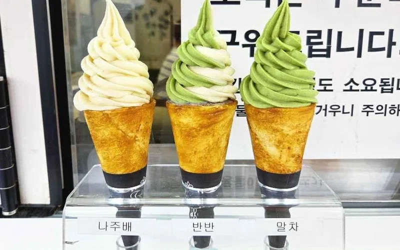 전남 나주당 방문 동선을 참고할 수 있는 트립뷰 편집 이미지