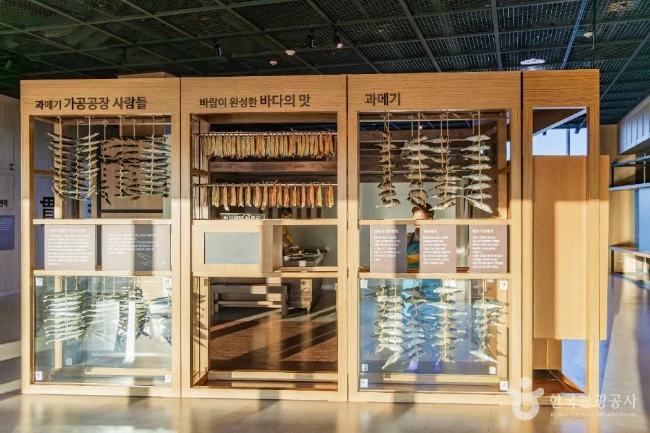 경북 구룡포과메기문화관 방문 동선을 참고할 수 있는 트립뷰 편집 이미지