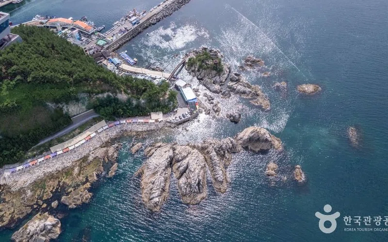 강원 장호해변·장호항 방문 동선을 참고할 수 있는 트립뷰 편집 이미지