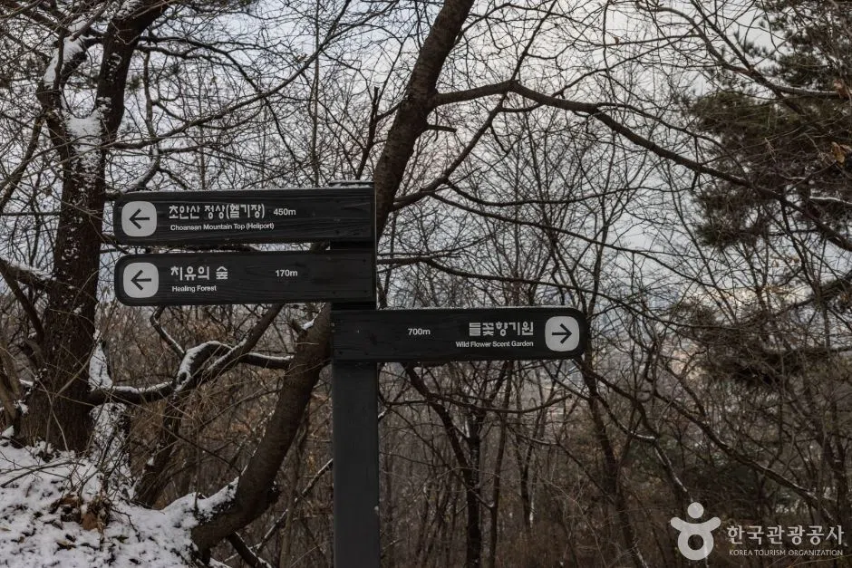 서울 서울 근교 단풍 명소 방문 동선을 참고할 수 있는 트립뷰 편집 이미지