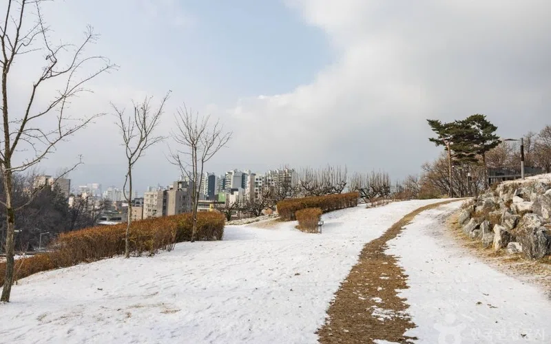 서울 서울 근교 단풍 명소 방문 동선을 참고할 수 있는 트립뷰 편집 이미지
