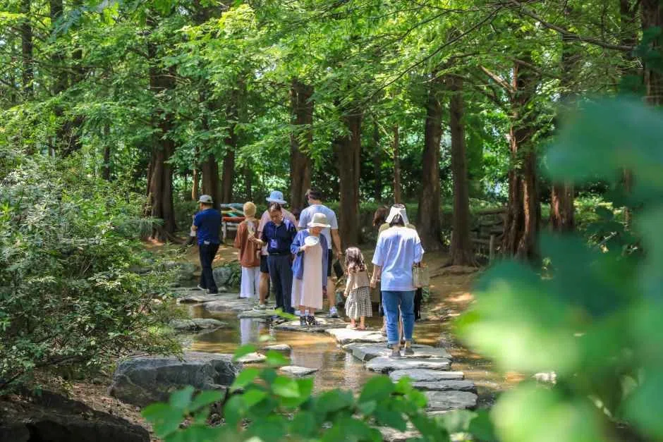 경기 세미원 연꽃문화제 방문 동선을 참고할 수 있는 트립뷰 편집 이미지