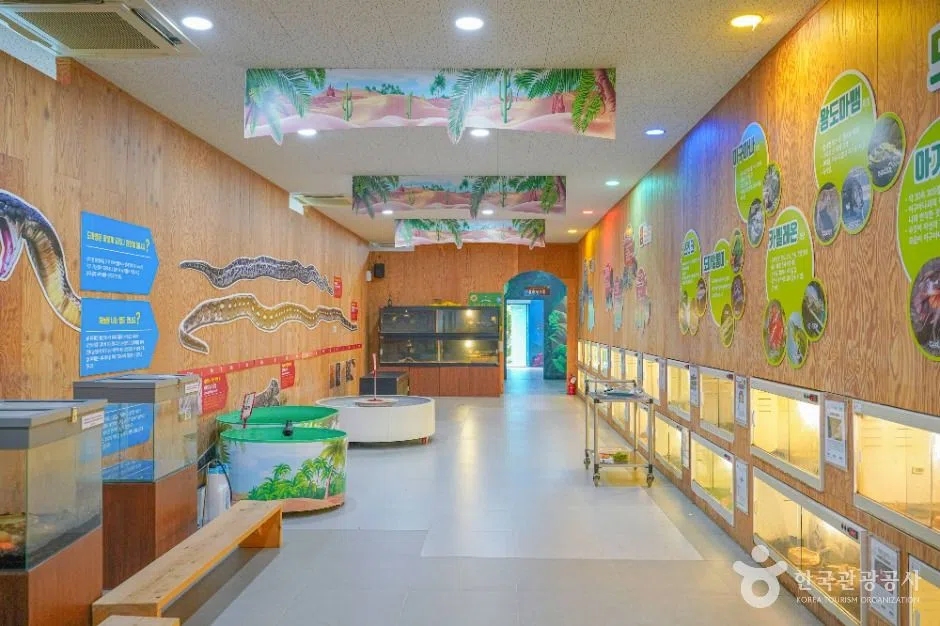 전남 영암곤충박물관 방문 동선을 참고할 수 있는 트립뷰 편집 이미지